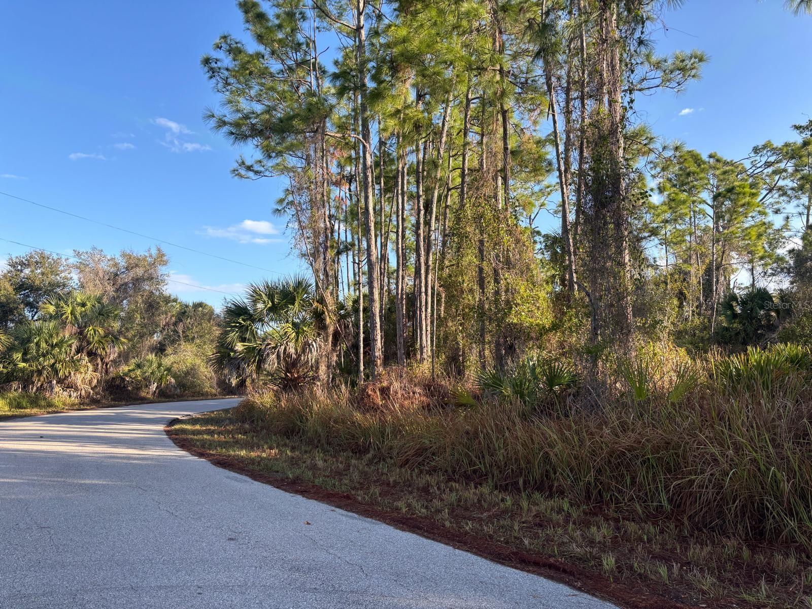 Bismarck Road, FL