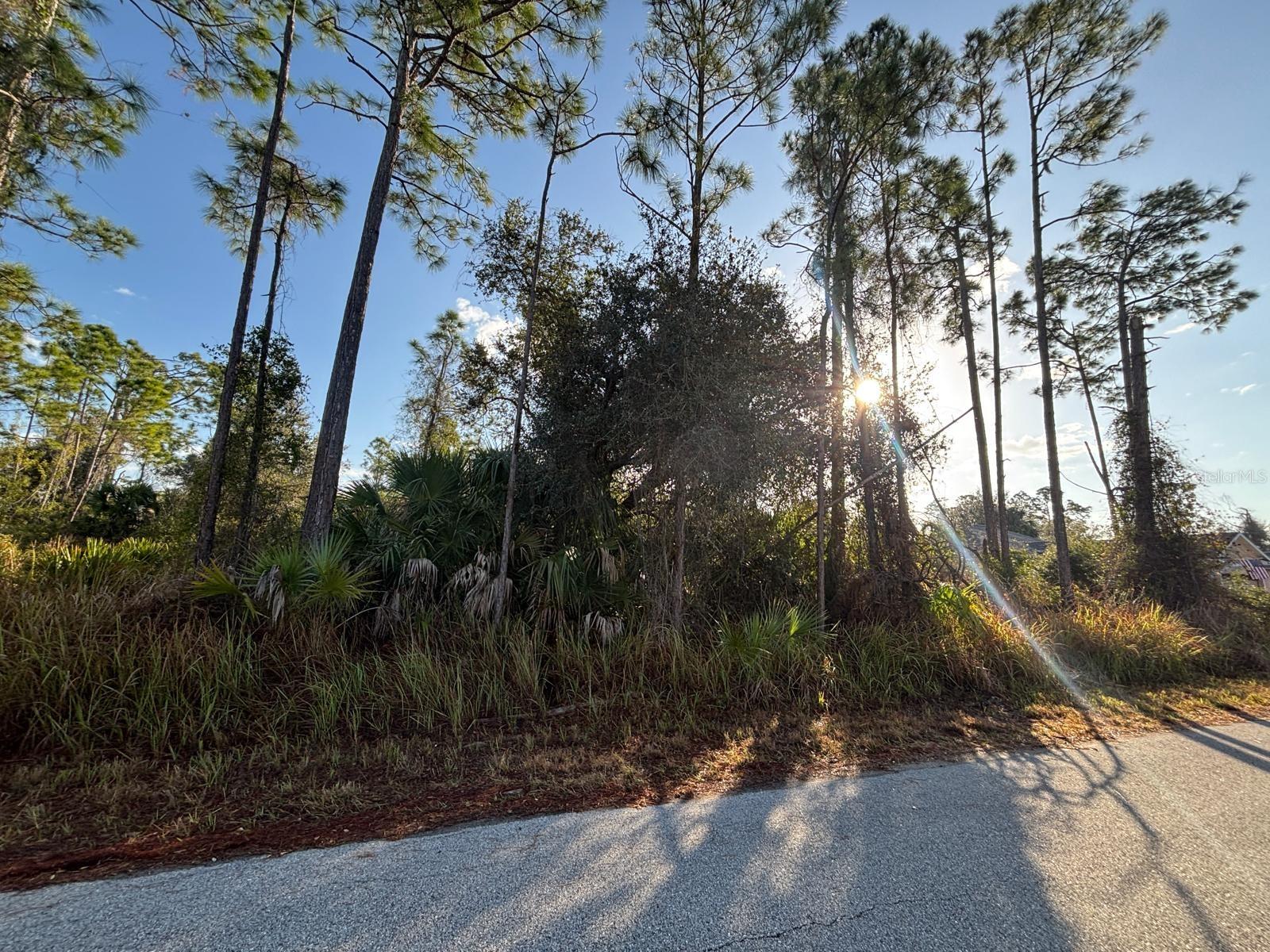Bismarck Road, FL