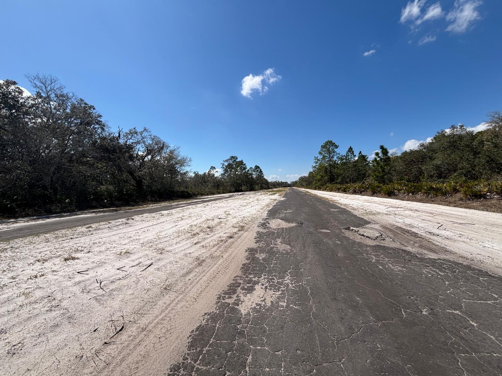 1006 Palm Avenue, FL