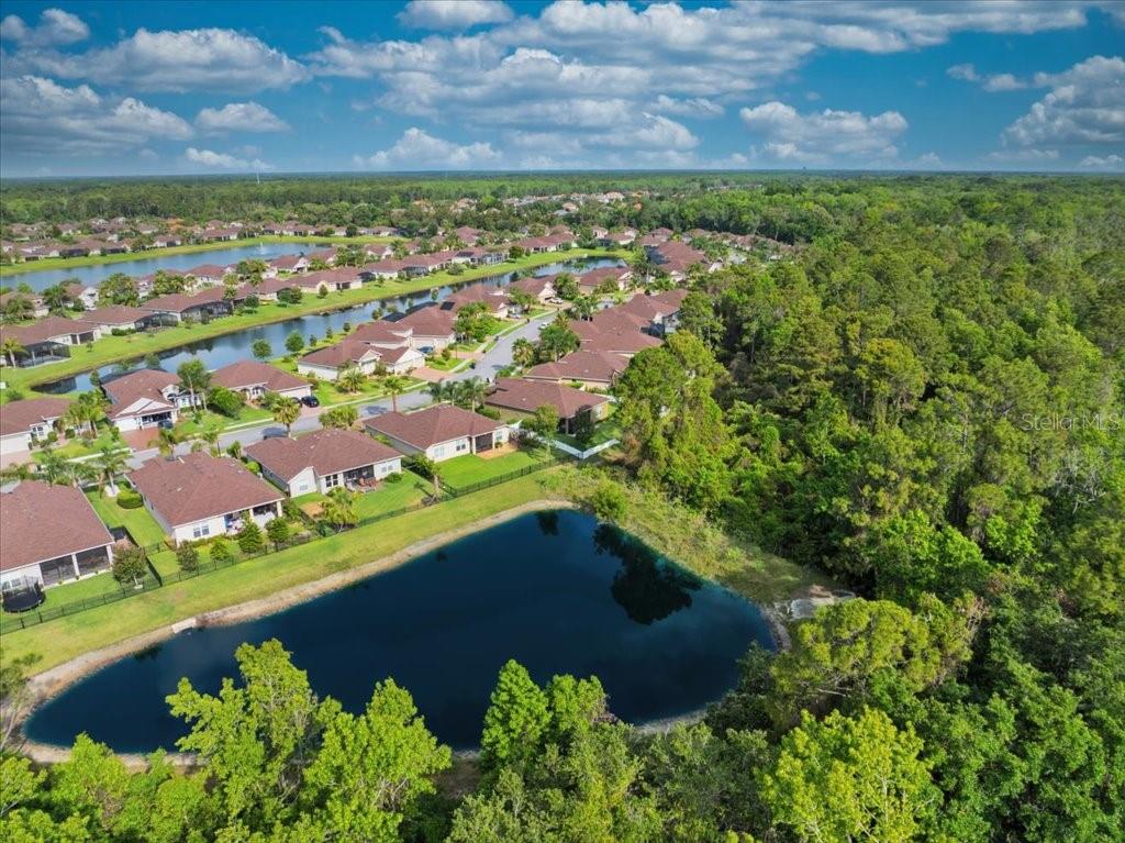 45 Graham Woods Place, FL
