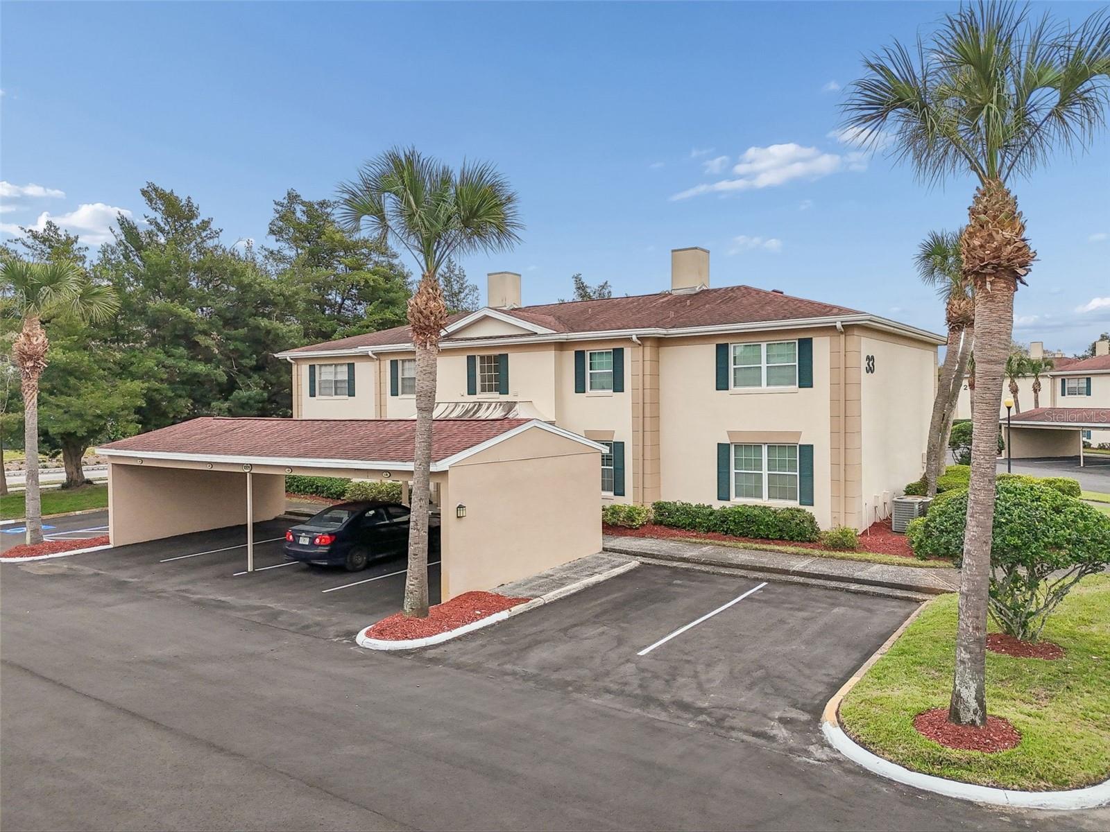 10375 Carrollwood Lane, FL