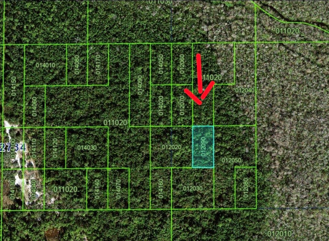 Tbd Unincorporated, FL
