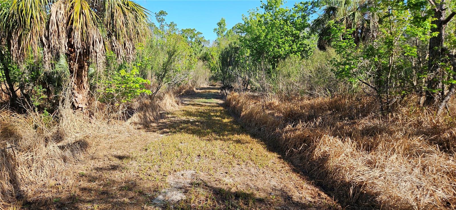 LAKE WALES, FL