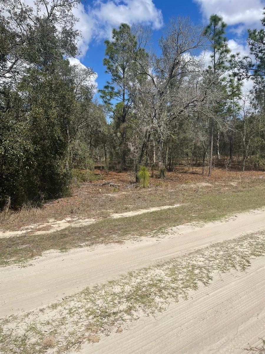 OCALA, FL