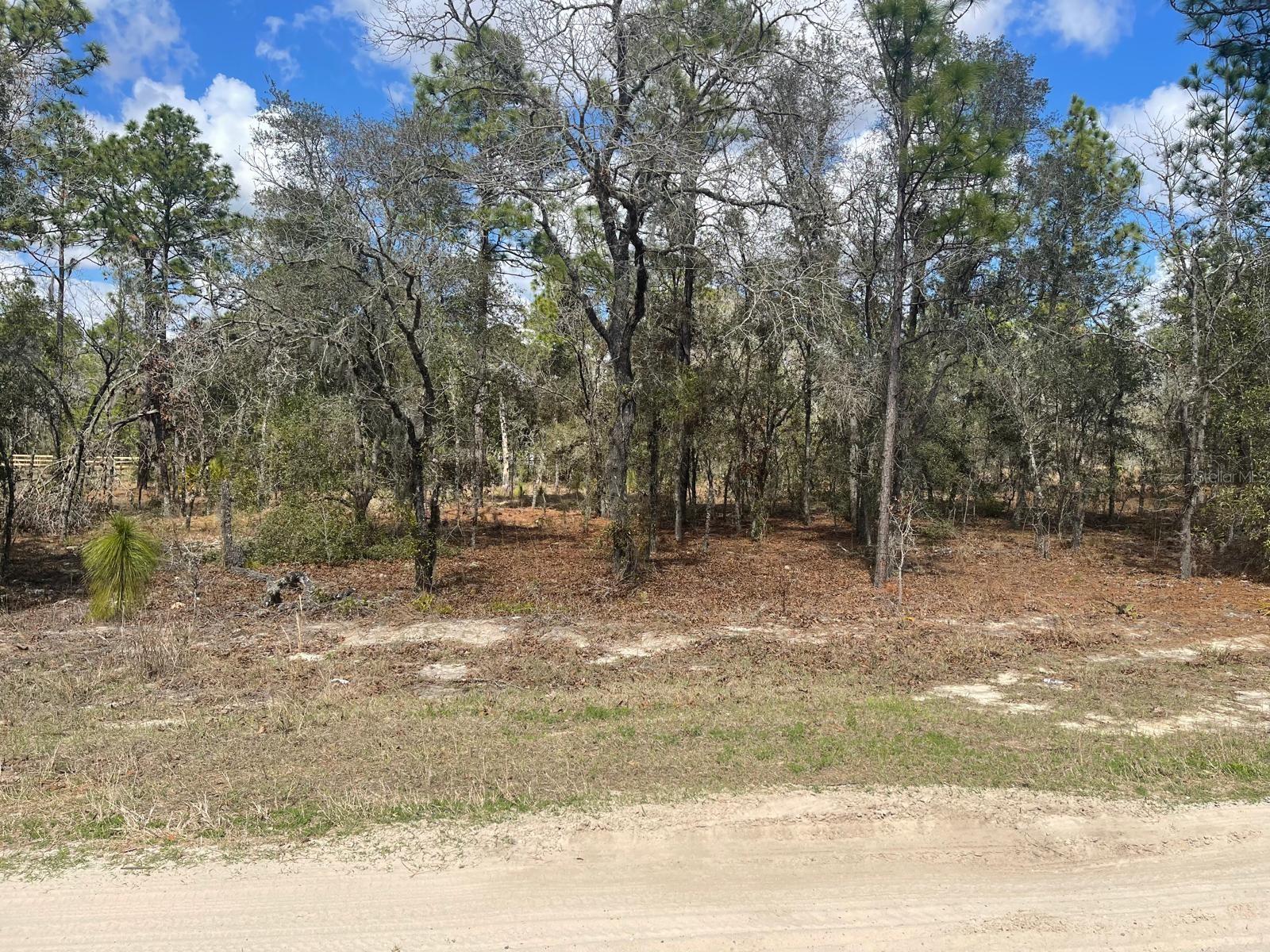OCALA, FL