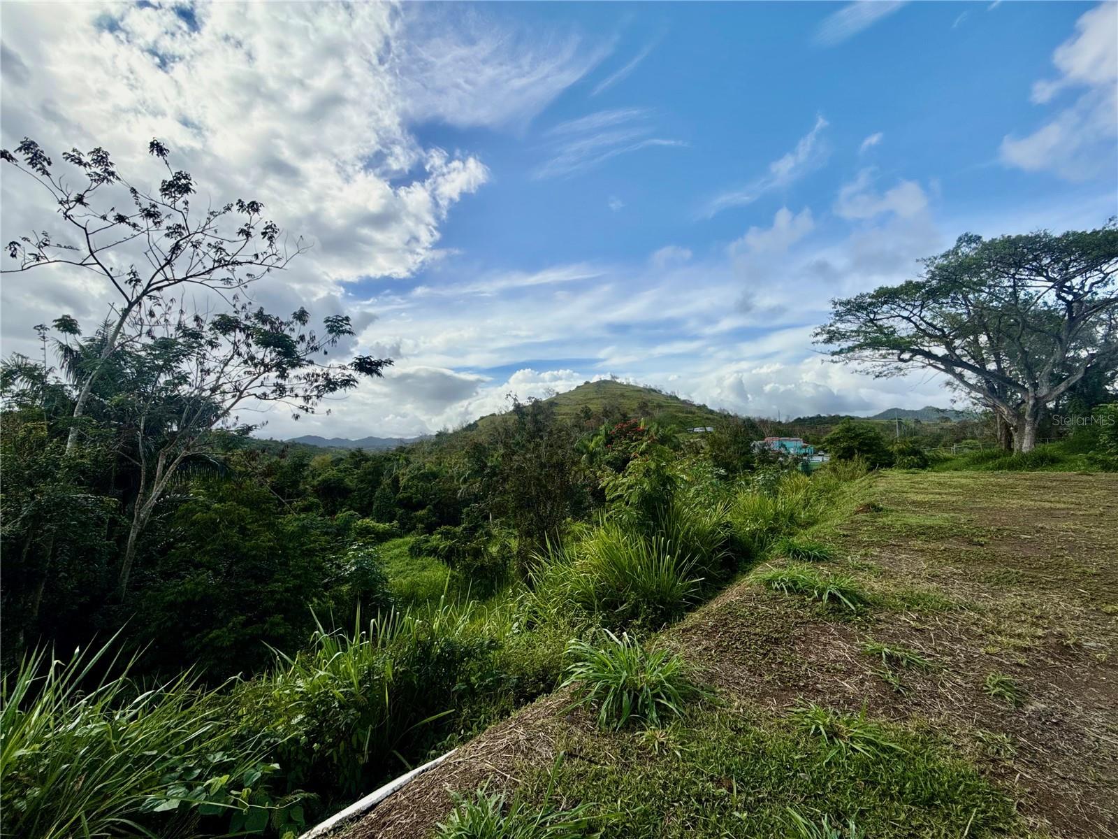Bo RincóN Lomas, PR