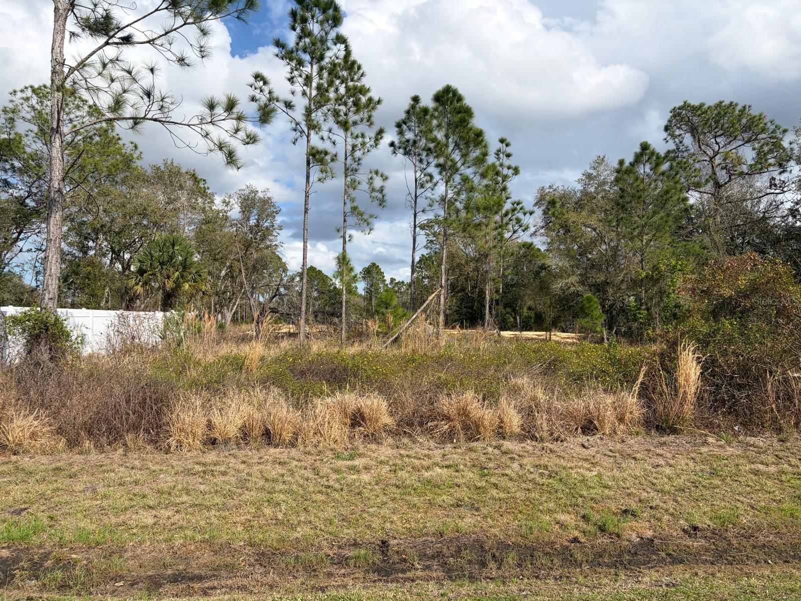 202 Spoonbill Drive, FL