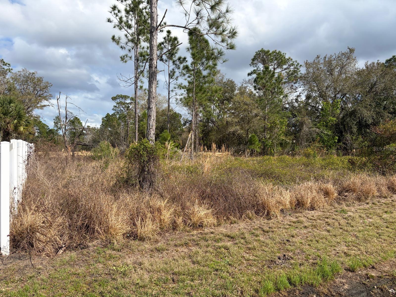 202 Spoonbill Drive, FL