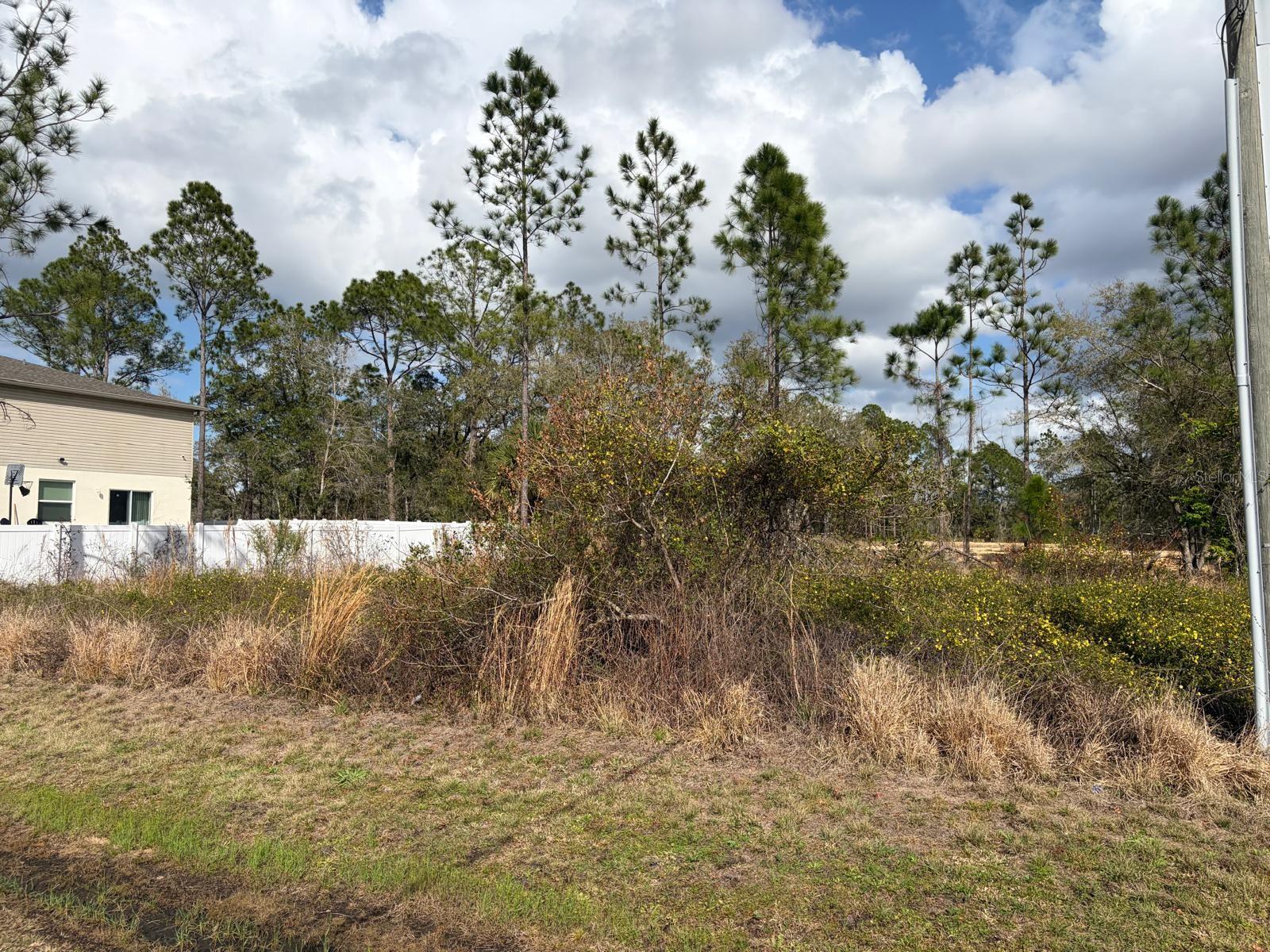 202 Spoonbill Drive, FL