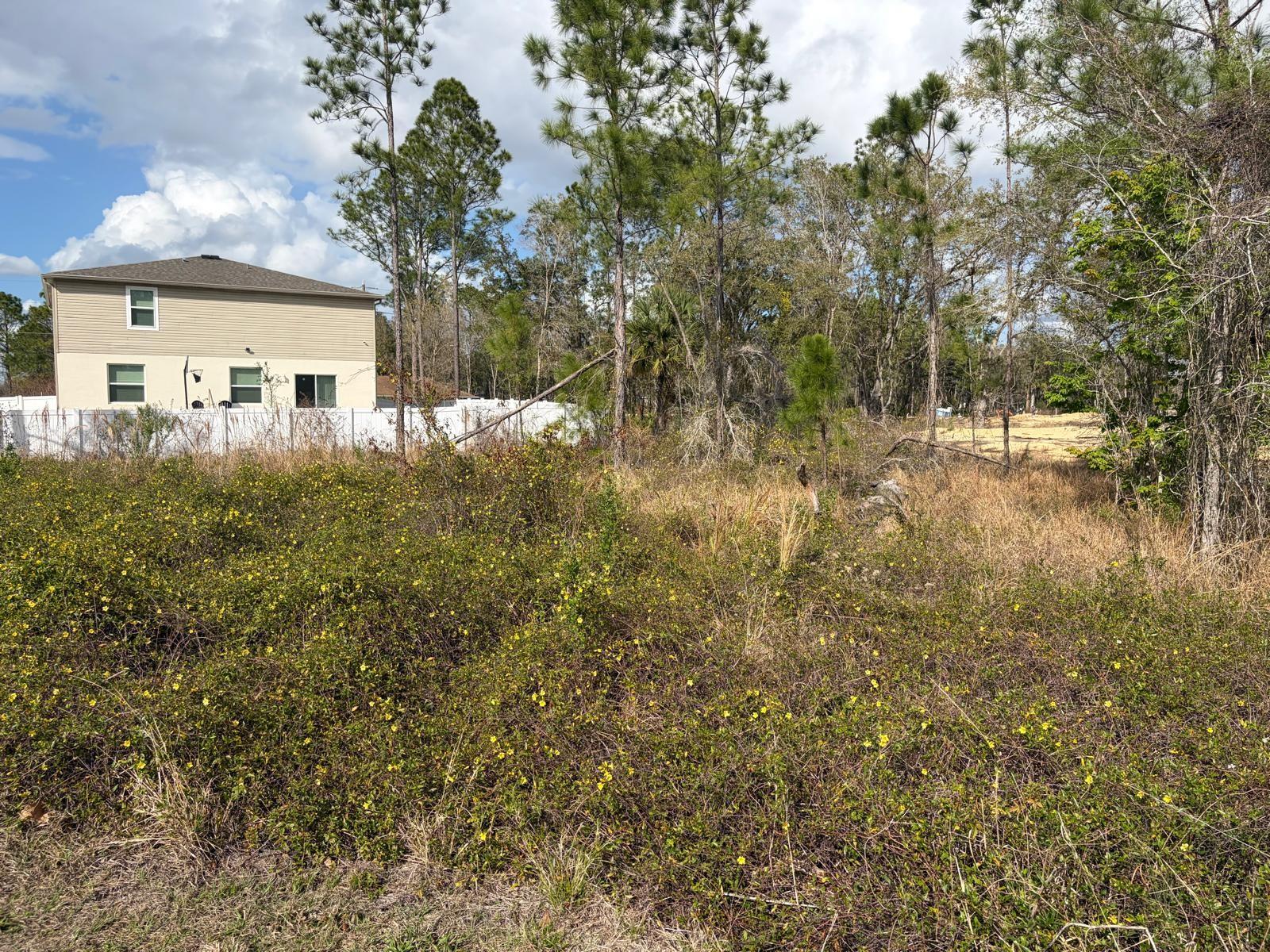 202 Spoonbill Drive, FL