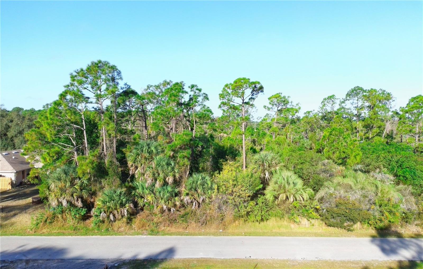 Killian Street, FL