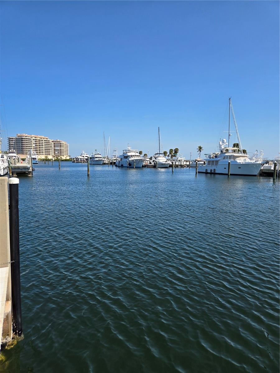 2800 Harbourside Drive, FL