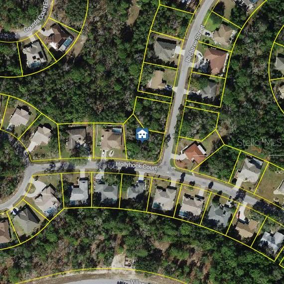 36 Hollyhock Court, FL