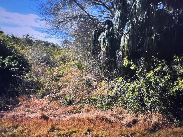 Lot 67 Harcourt Circle, FL