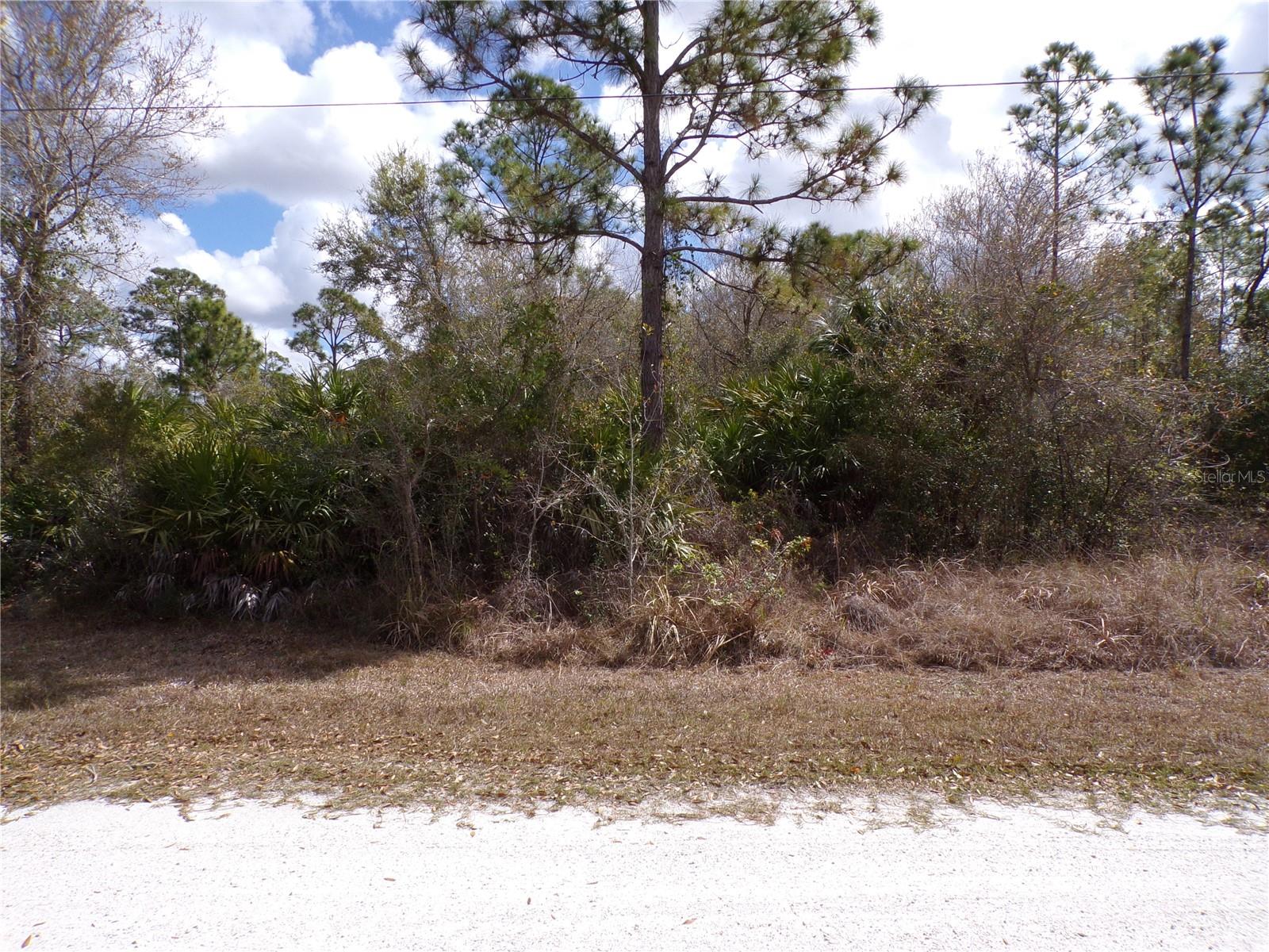 27269 Hacienda Drive, FL