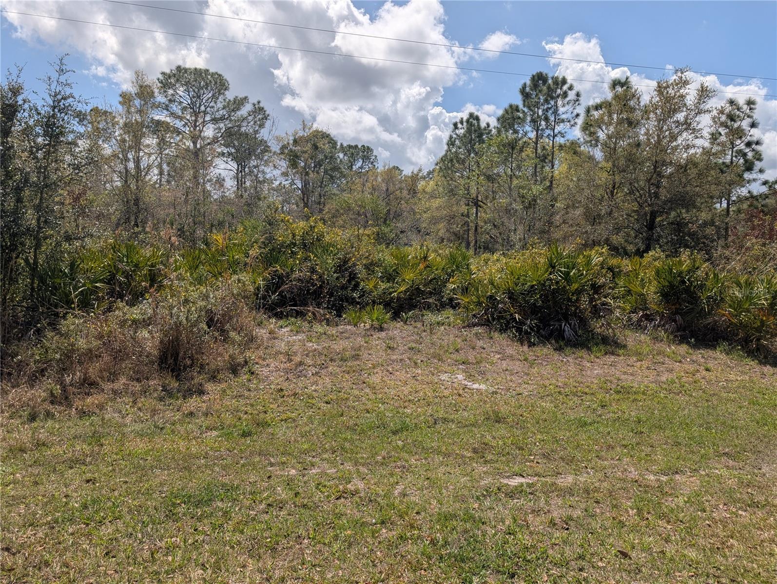 817 Poinciana Drive, FL