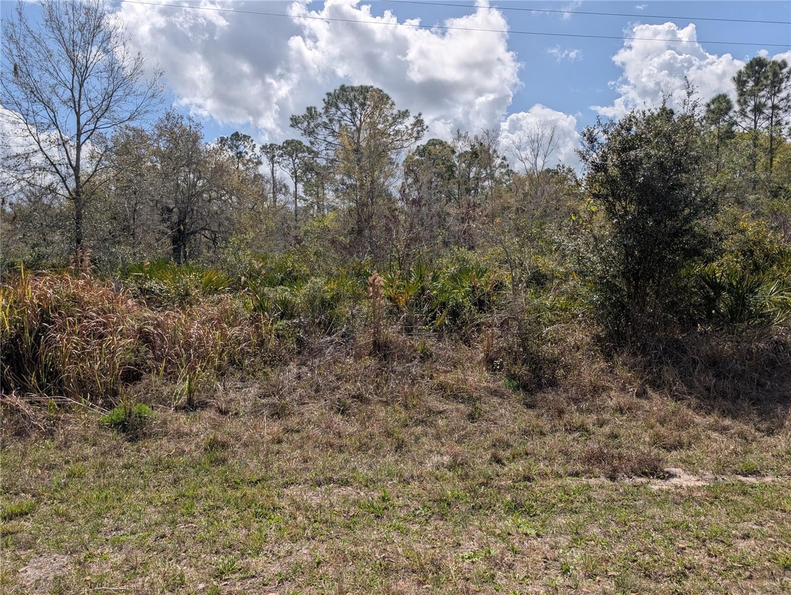 817 Poinciana Drive, FL