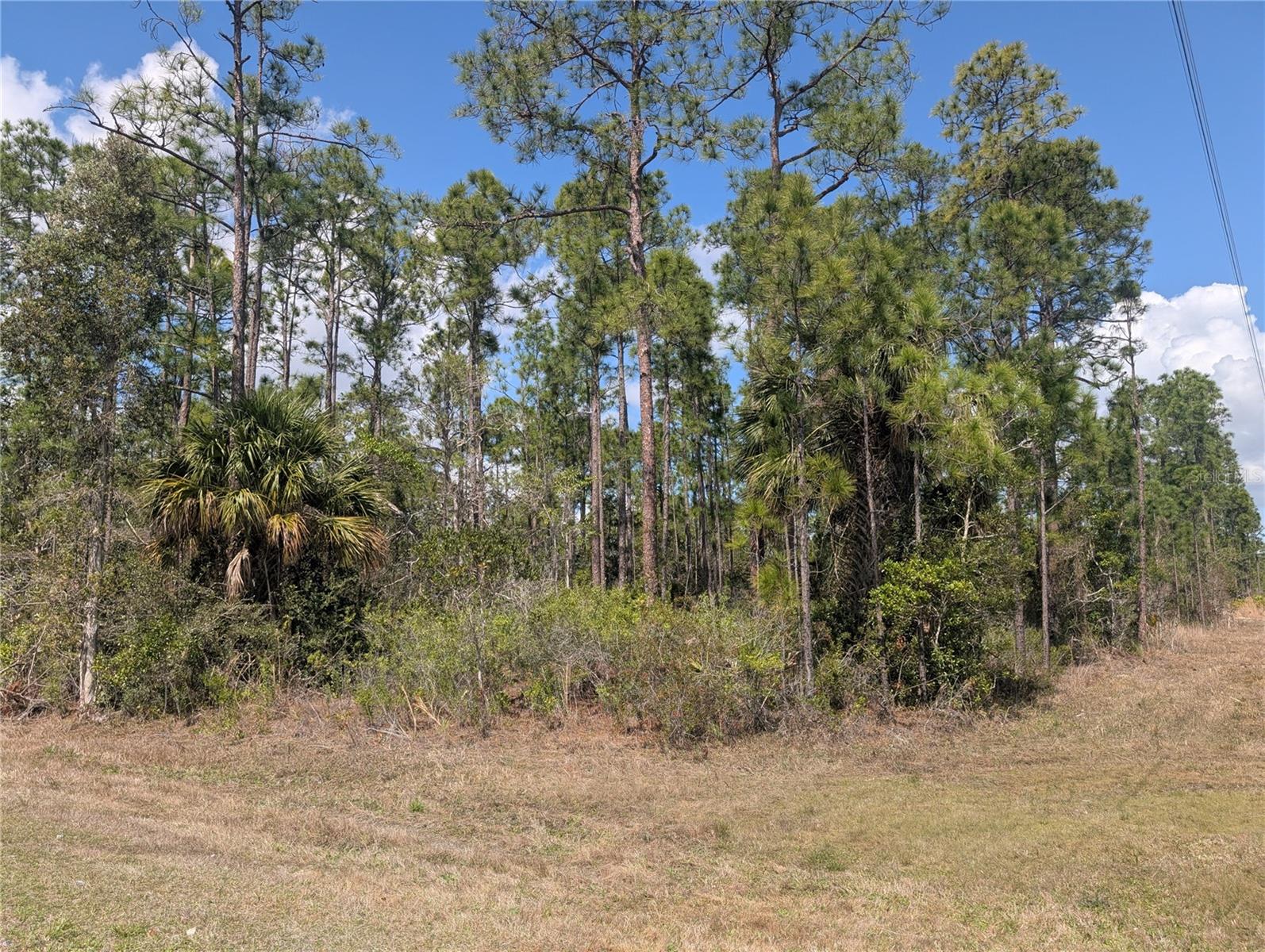 802 Althea Drive, FL