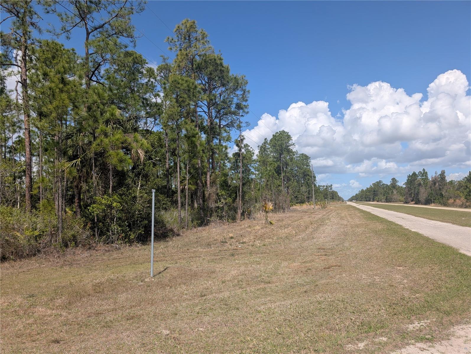 802 Althea Drive, FL