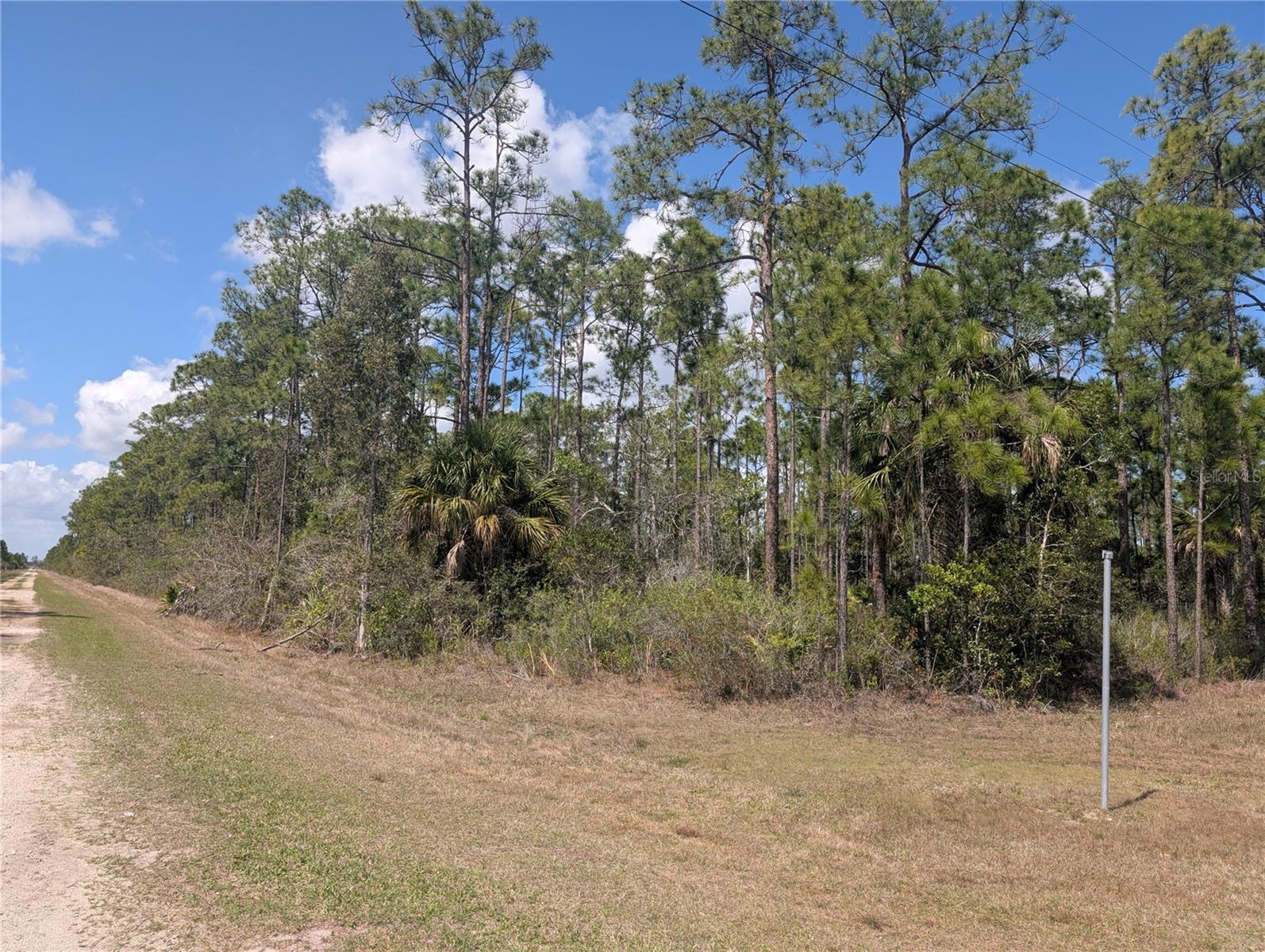 802 Althea Drive, FL