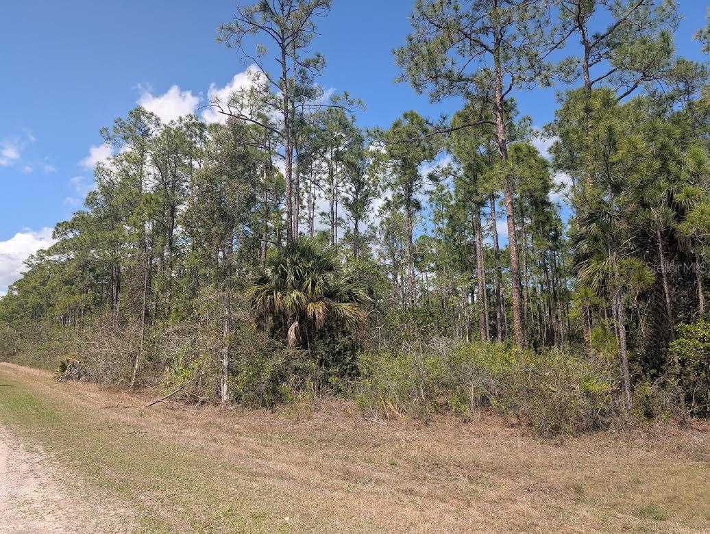 802 Althea Drive, FL