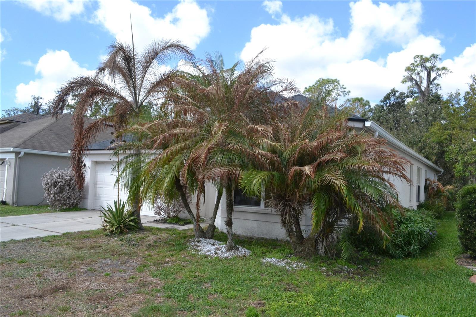 27353 Edenfield Drive, FL