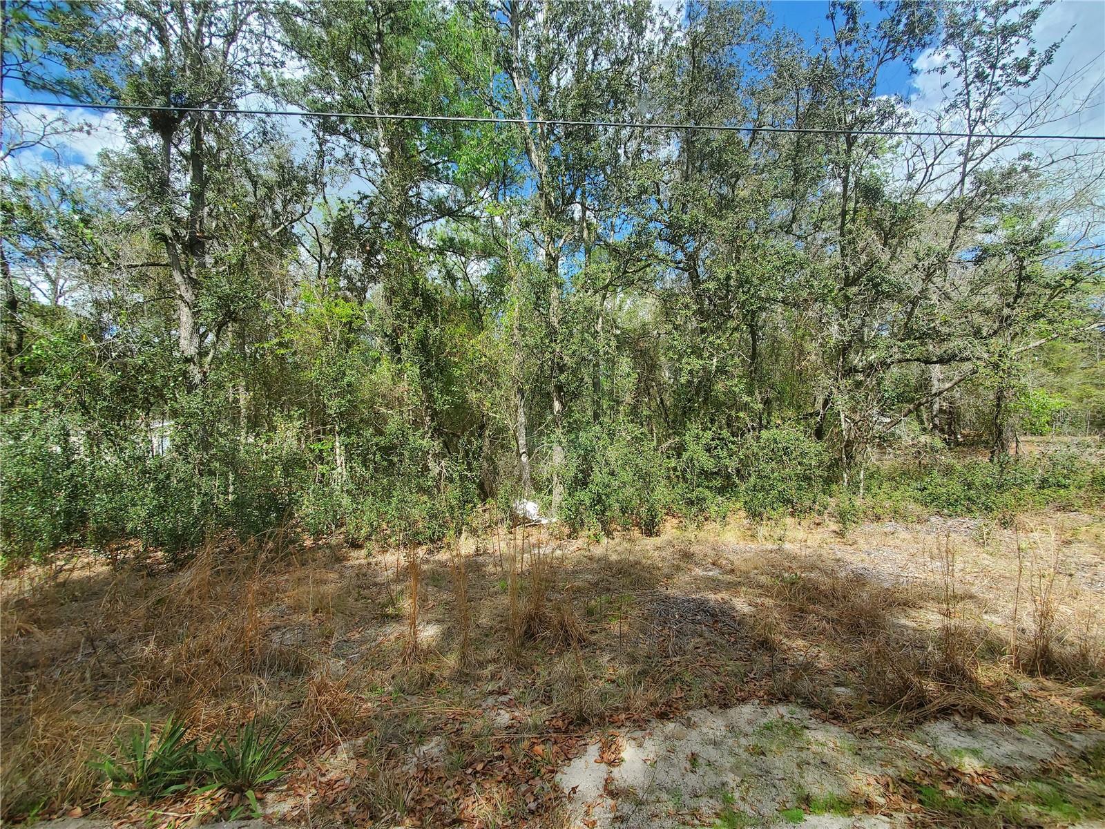 172nd Pl Lot 11, FL