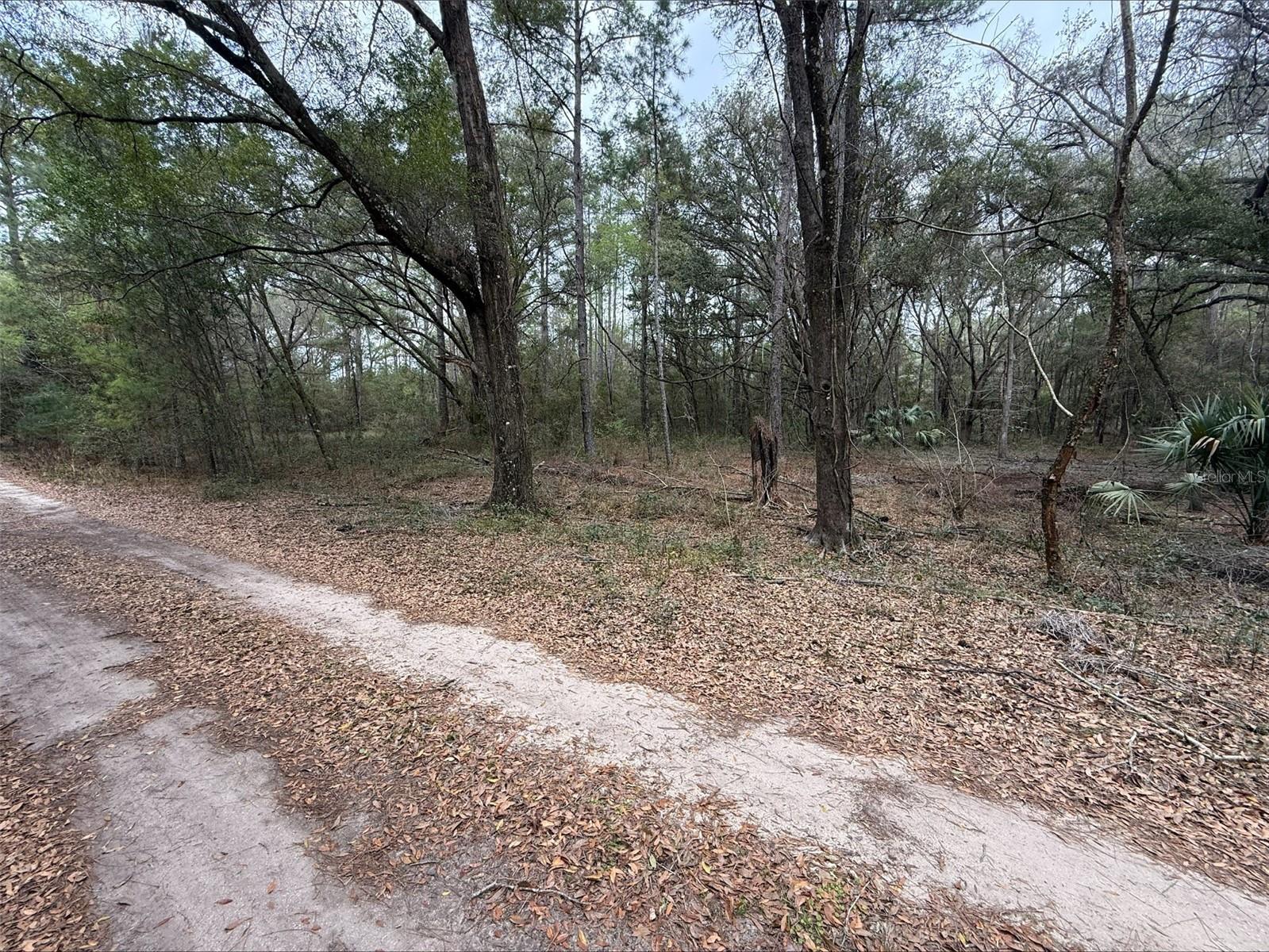 00 9th Place, FL