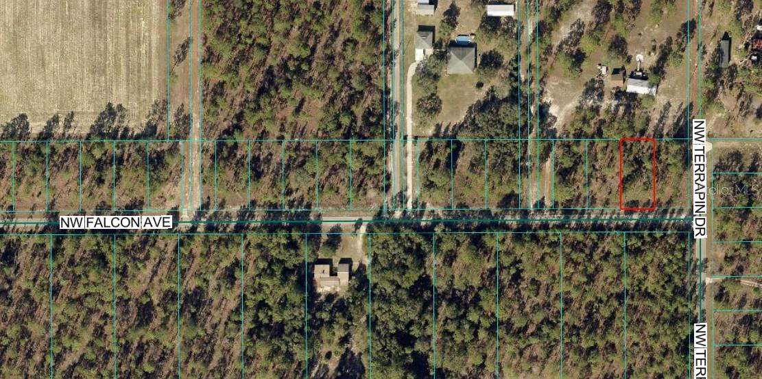 Tbd Nw Falcon Ave, Lot 33, FL