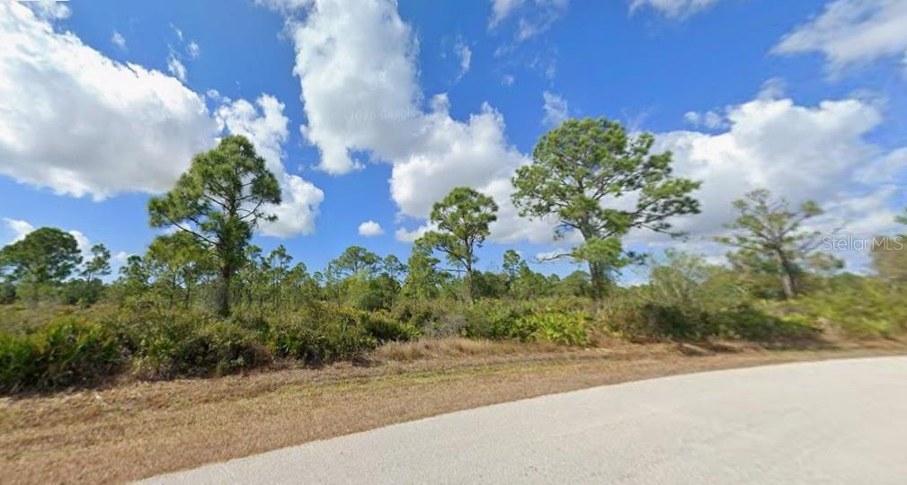 12069 Hollyhock Street, FL