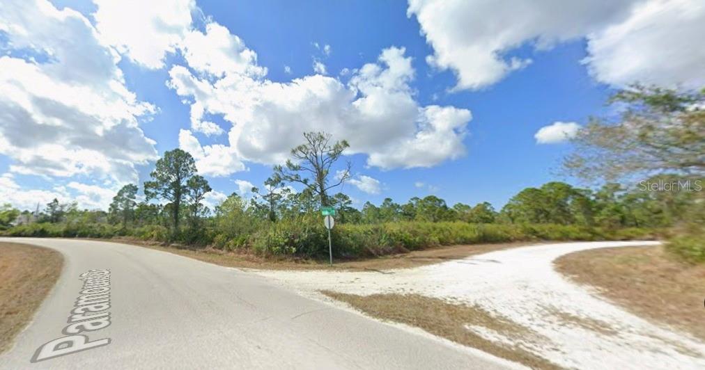 12069 Hollyhock Street, FL