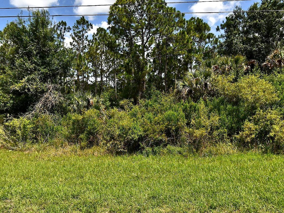 Tropicaire Boulevard, FL