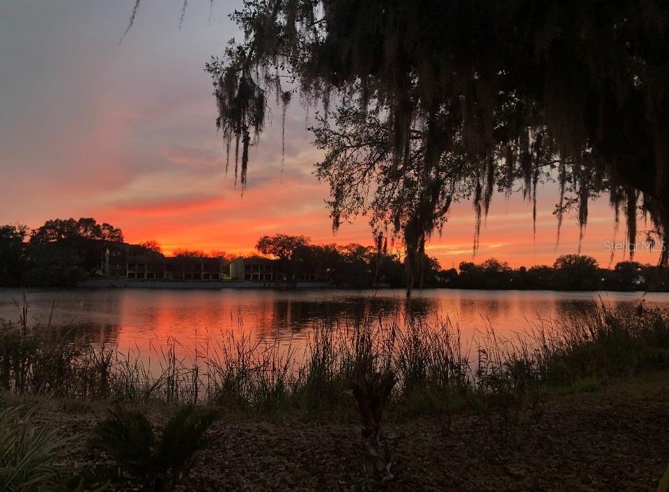 725 Peninsular Drive, FL