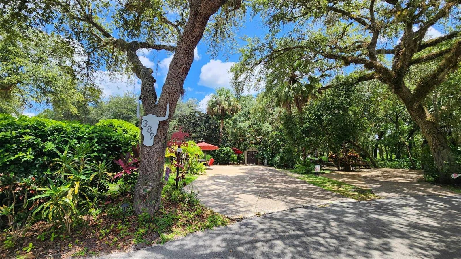 389 Longhorn Drive, FL