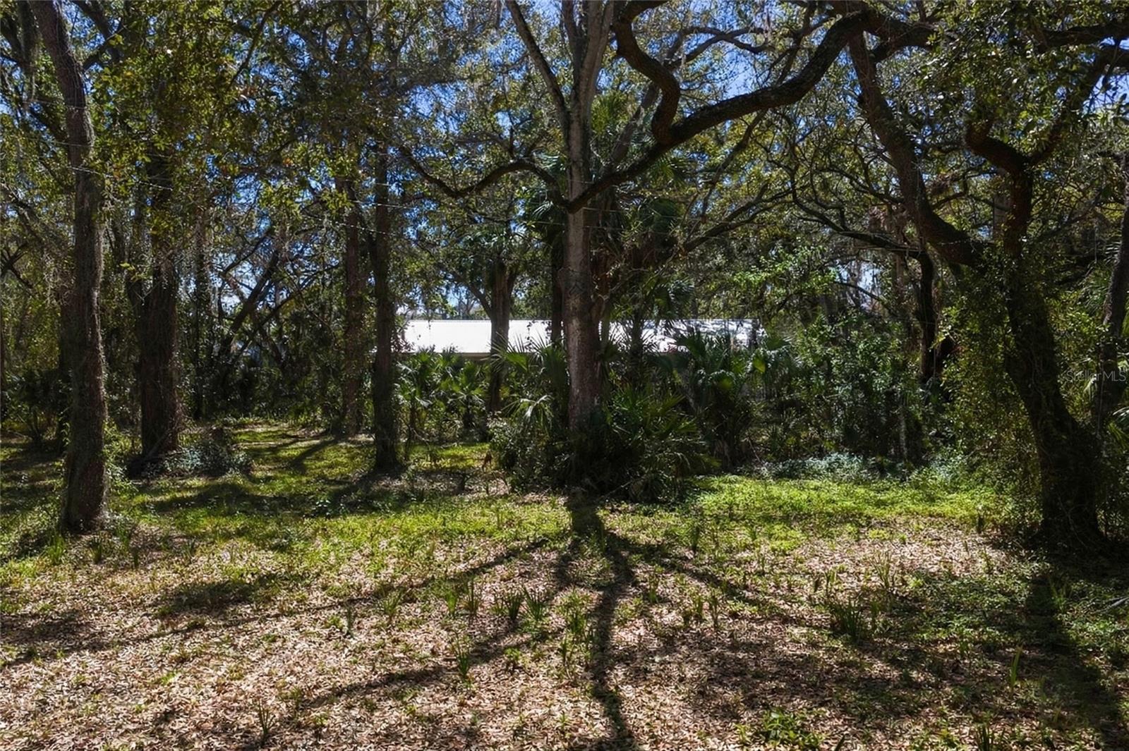 8004 Bay Drive, FL