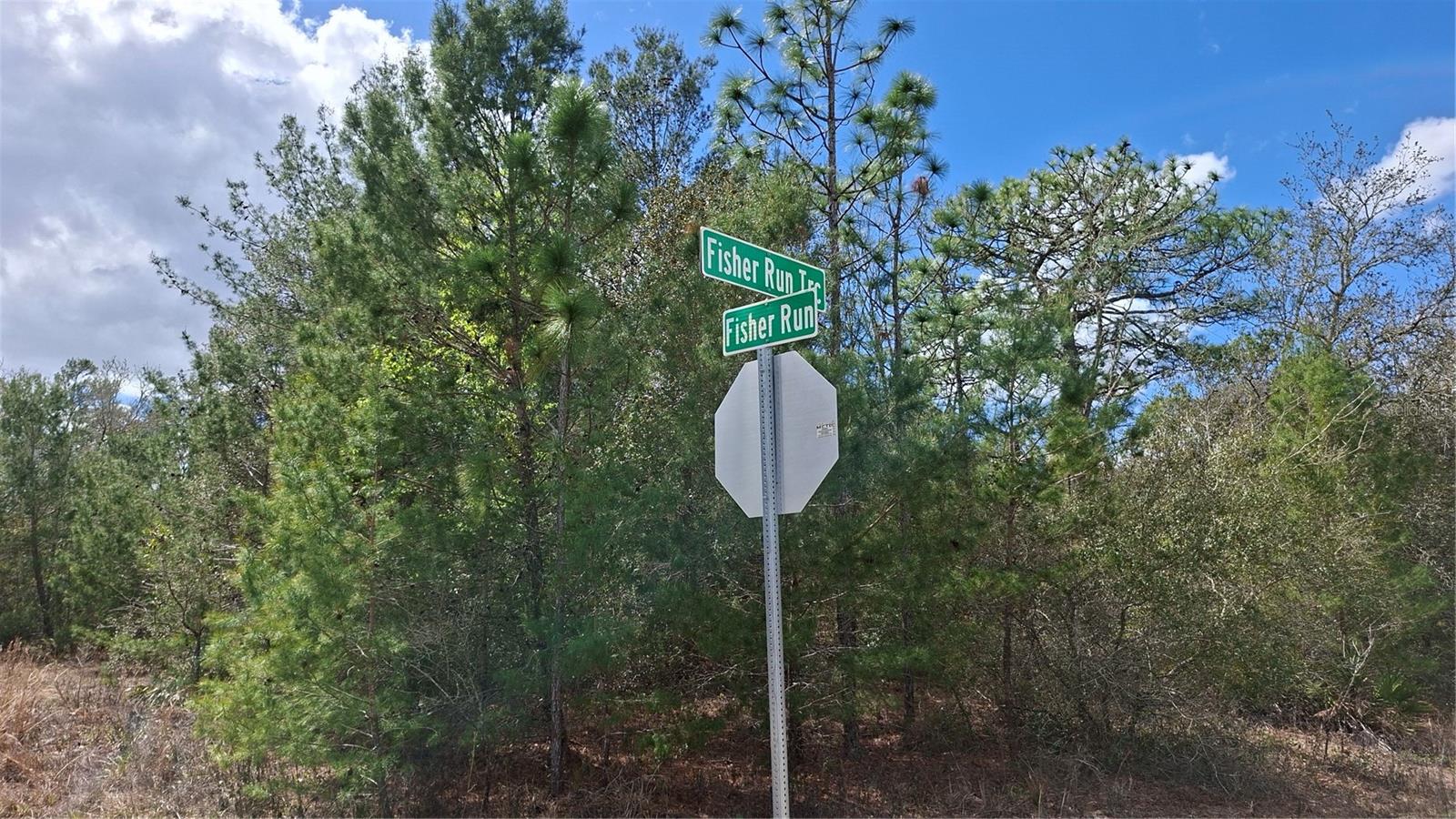 Fisher Run, FL