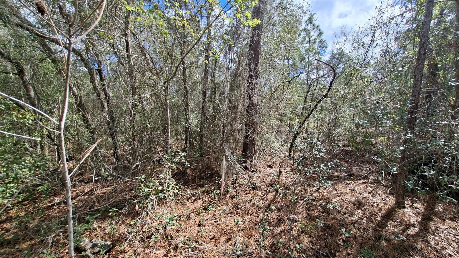 Fisher Run, FL