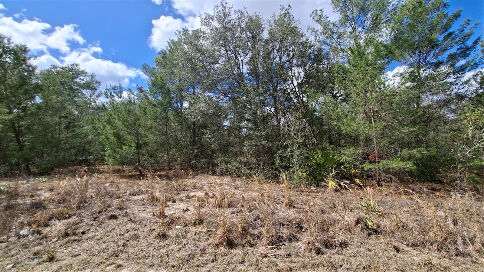 Fisher Run, FL