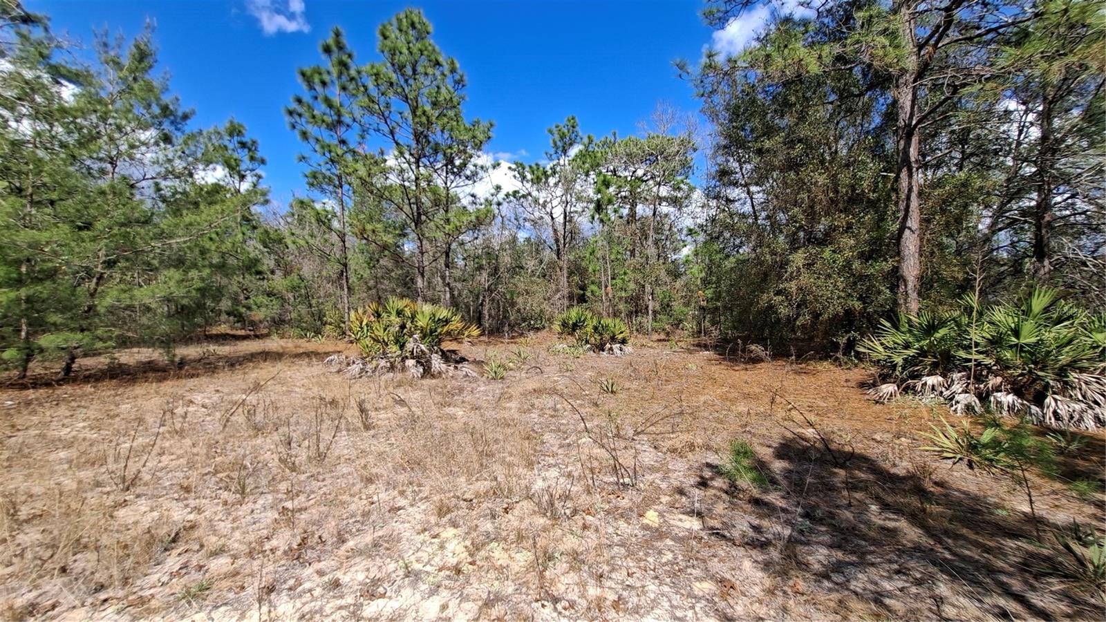 Fisher Run, FL