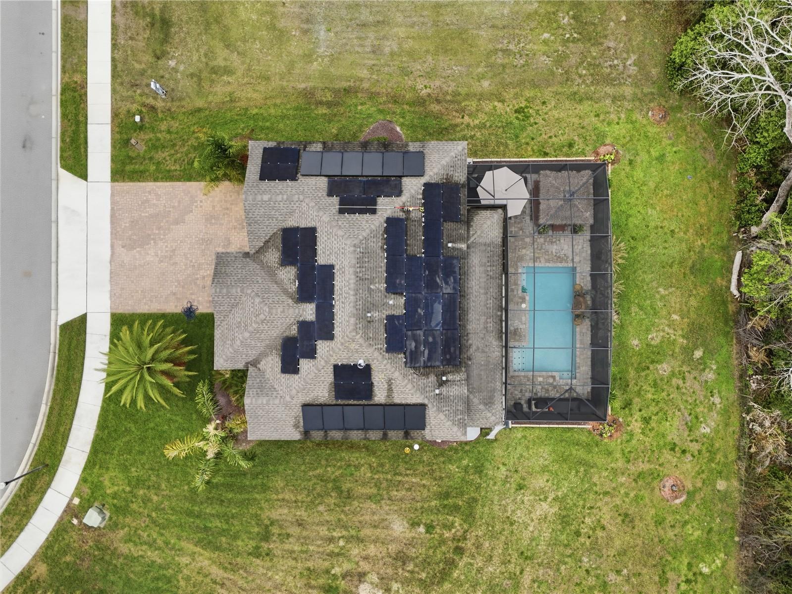 3129 Pinenut Drive, FL