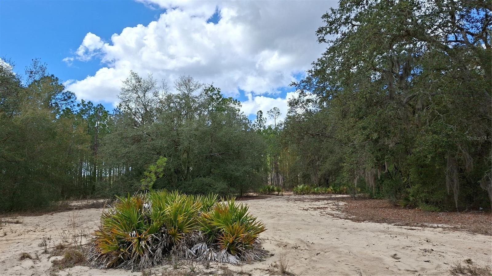 Fisher Way, FL