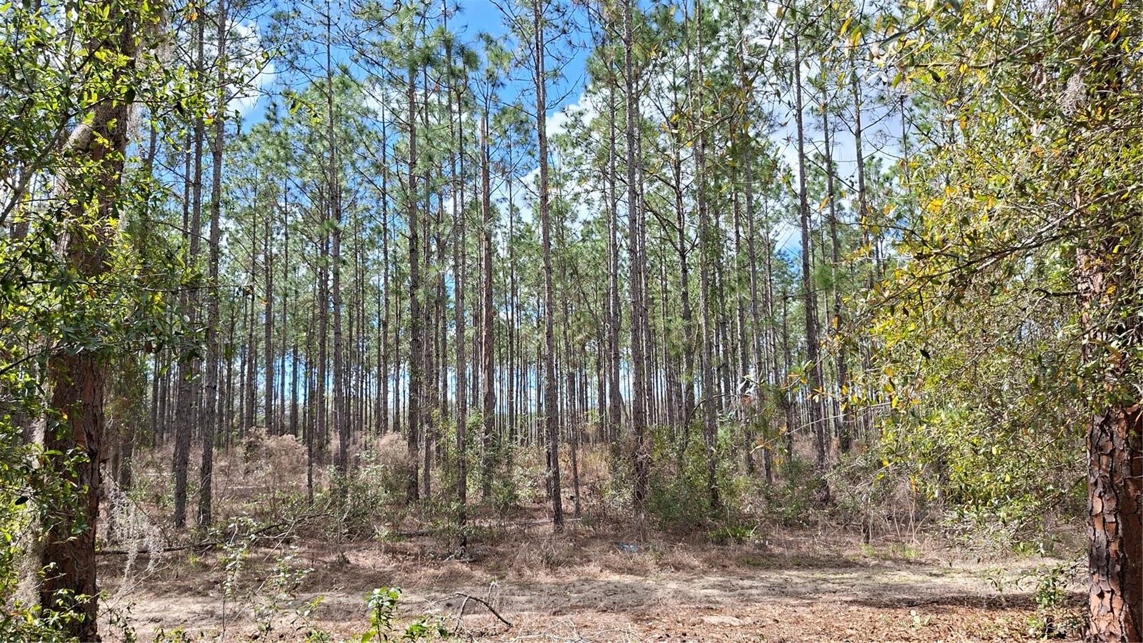 Fisher Way, FL