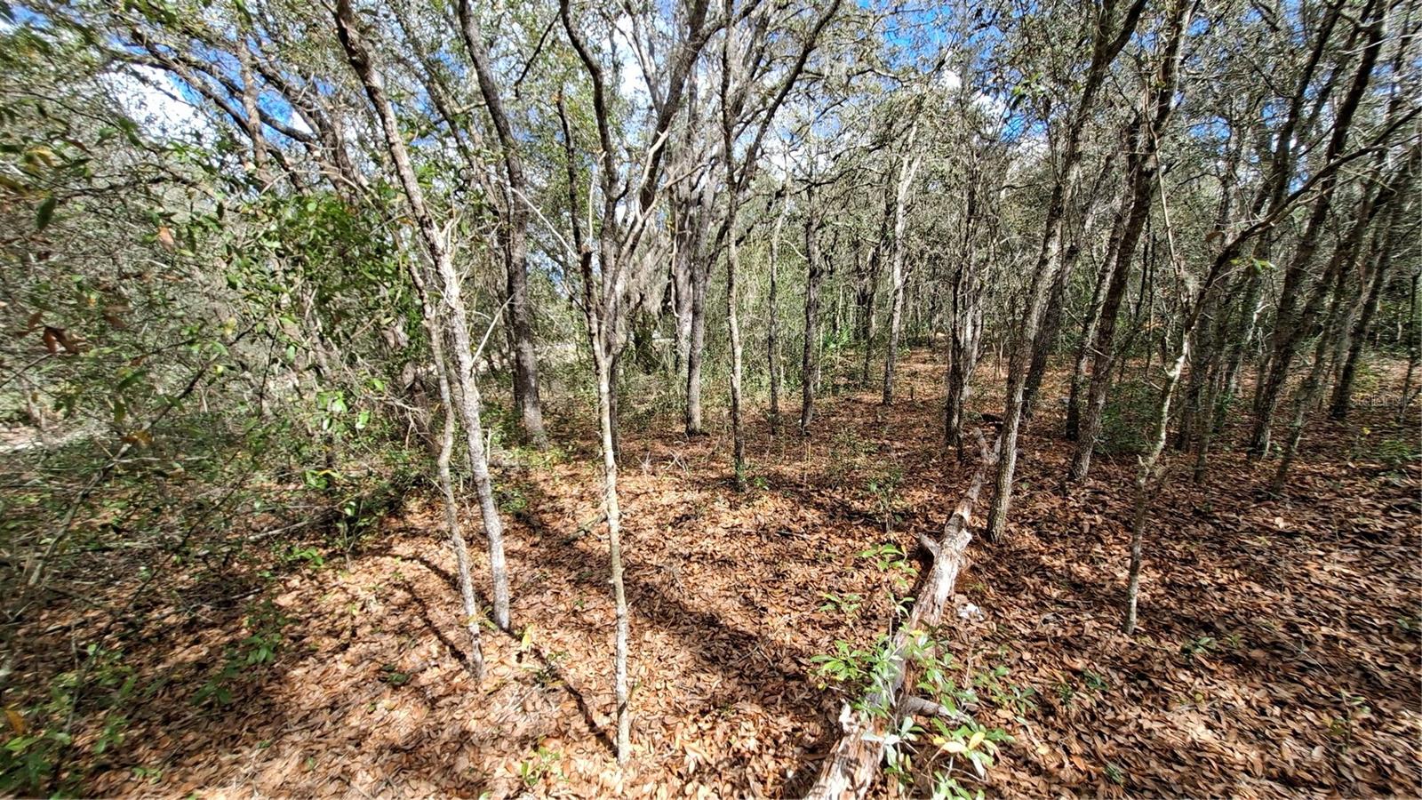Fisher Way, FL