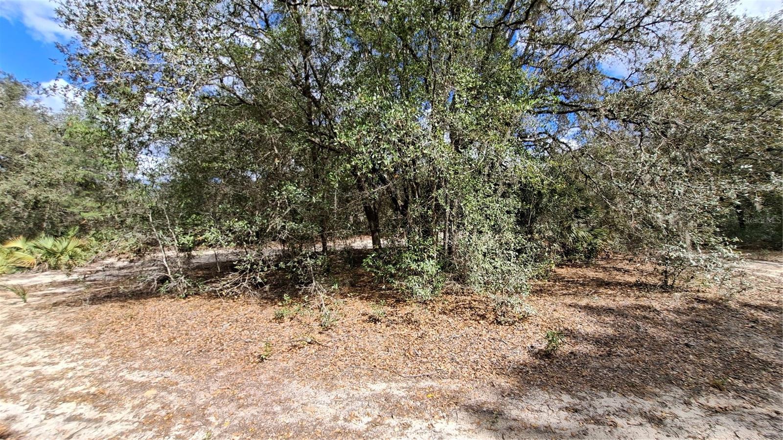 Fisher Way, FL