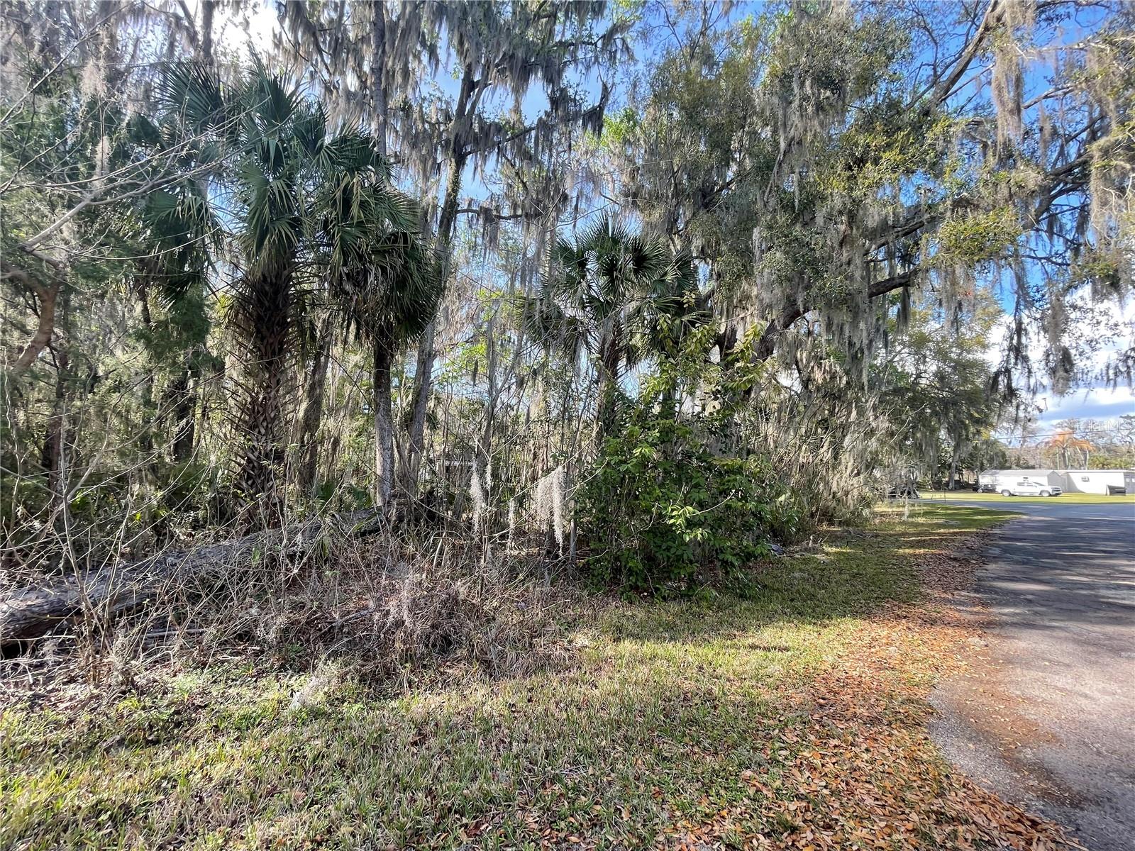 Tbd 40th Loop, FL