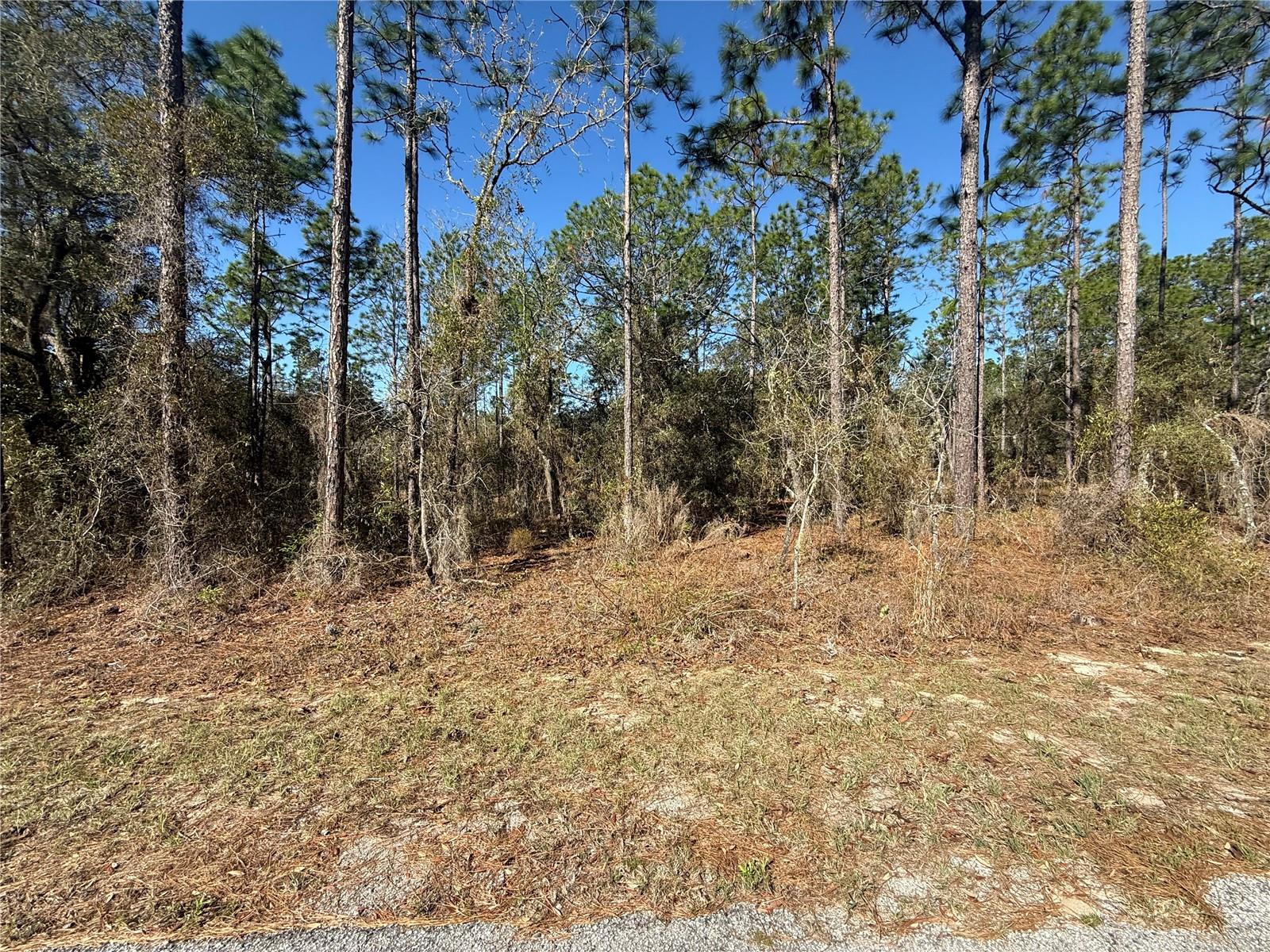 Lot 13 129 Court, FL