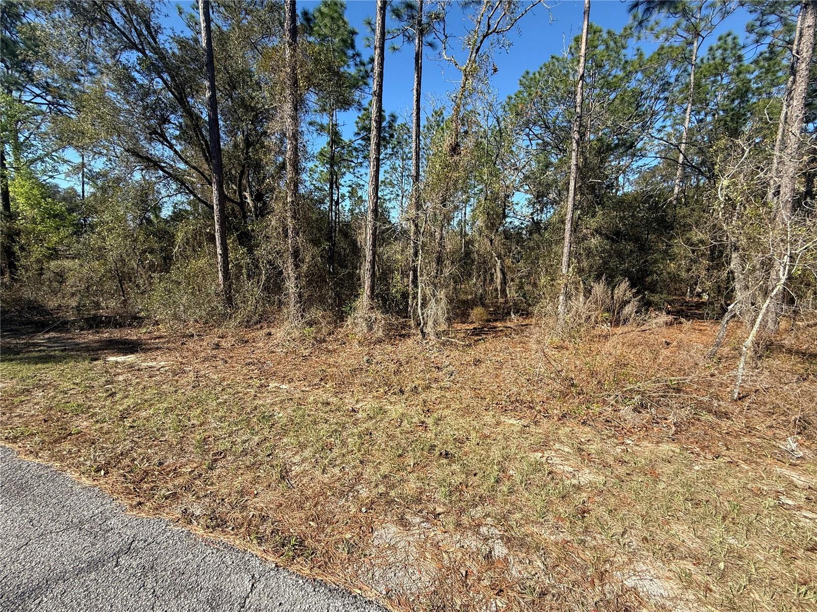 Lot 13 129 Court, FL