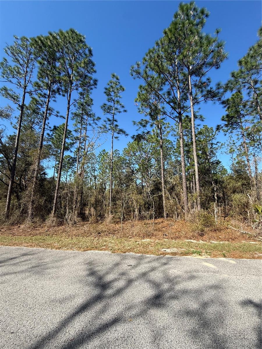Lot 13 129 Court, FL