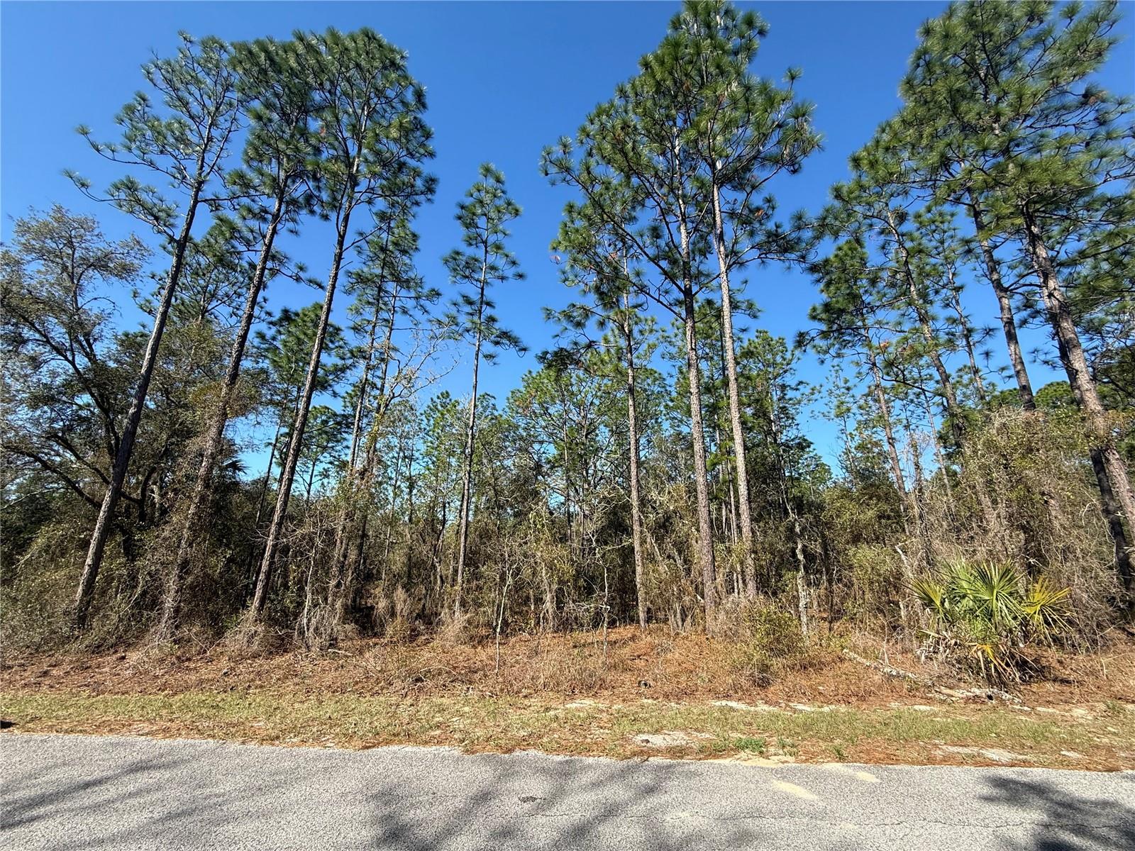 Lot 13 129 Court, FL