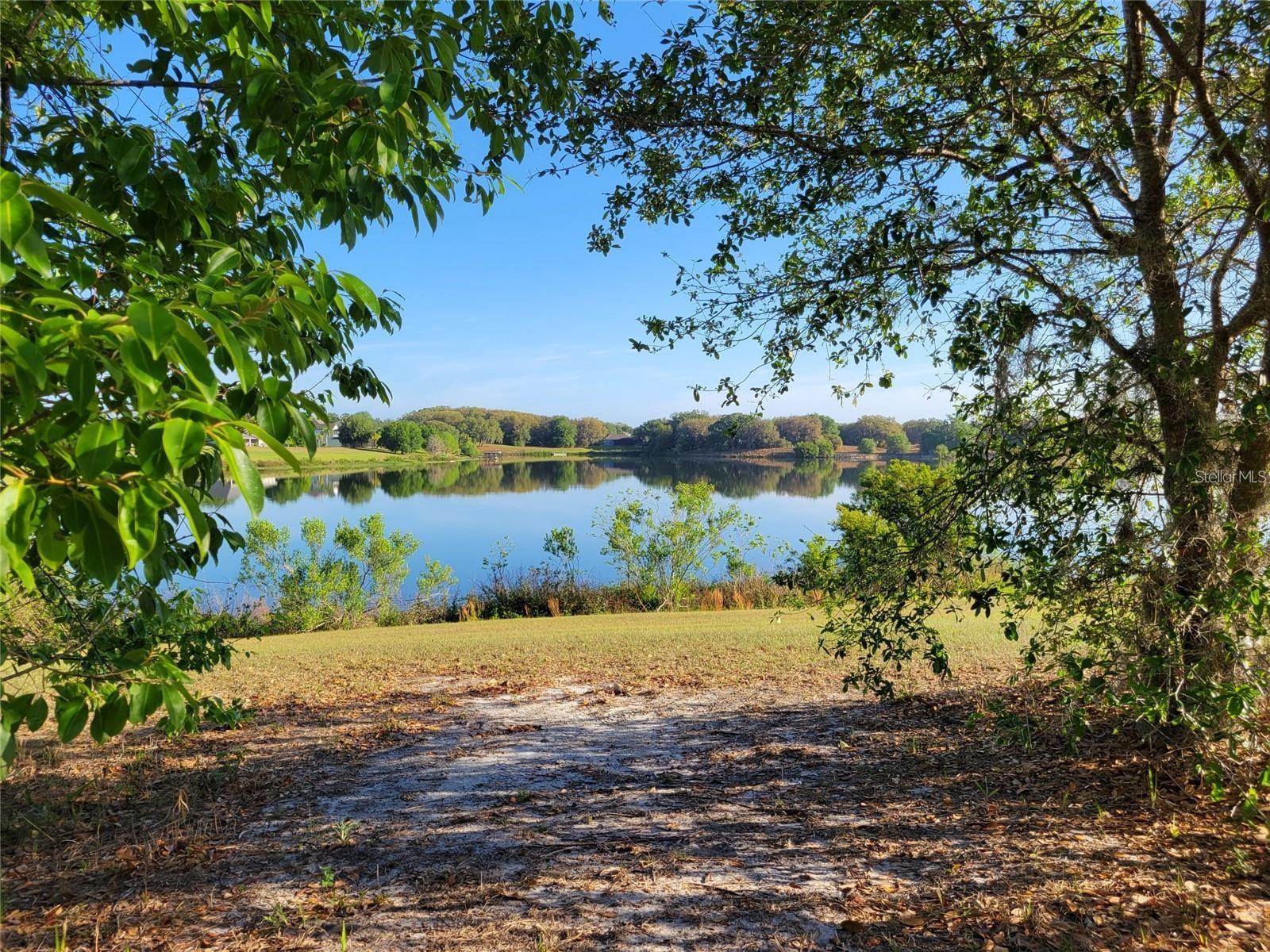 36717 Barrington Drive, FL